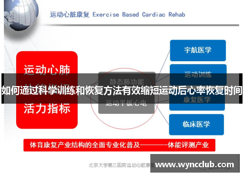 如何通过科学训练和恢复方法有效缩短运动后心率恢复时间